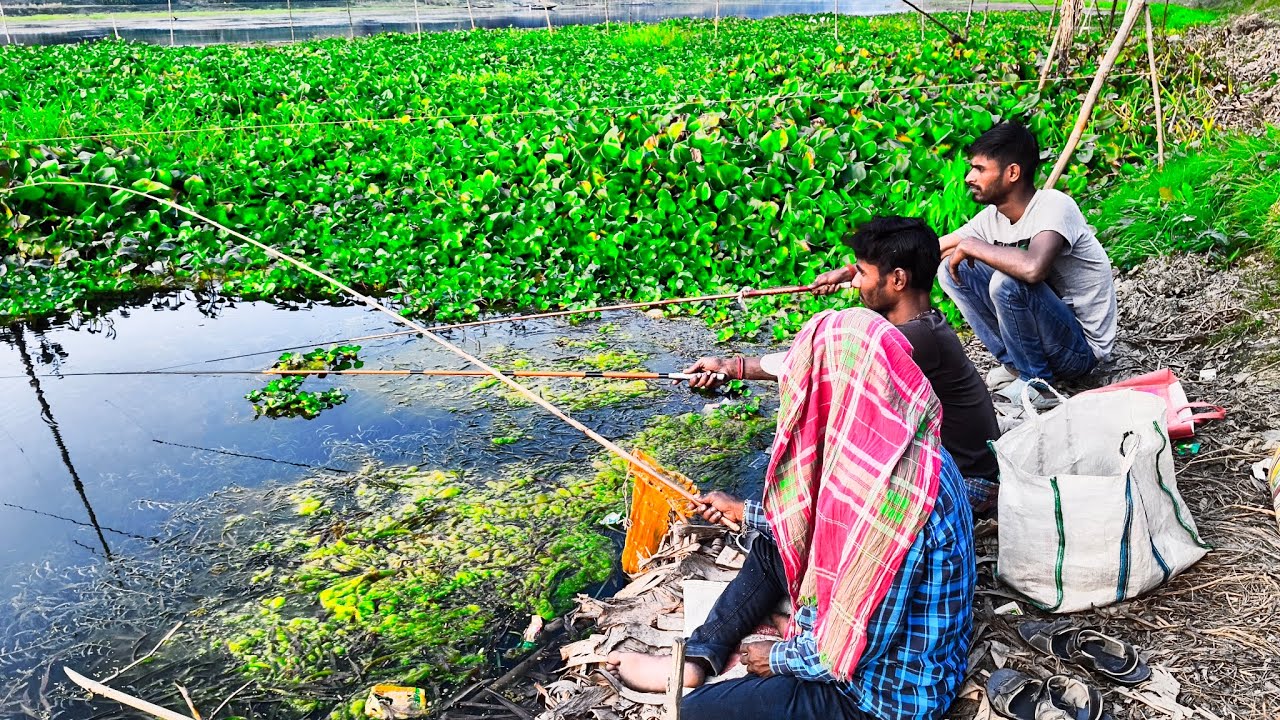 নদীর থেকে মাছ ধরা দেখুন#fishing এবং চারের প্রসেস দেখুন#fishing 