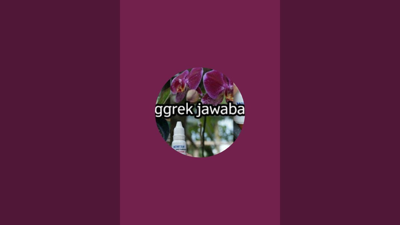 Anggrek jadulan