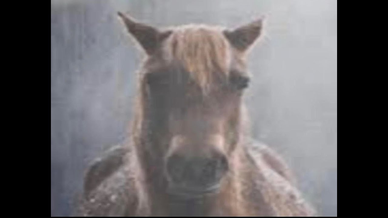 evil horse - terror radius/layer music