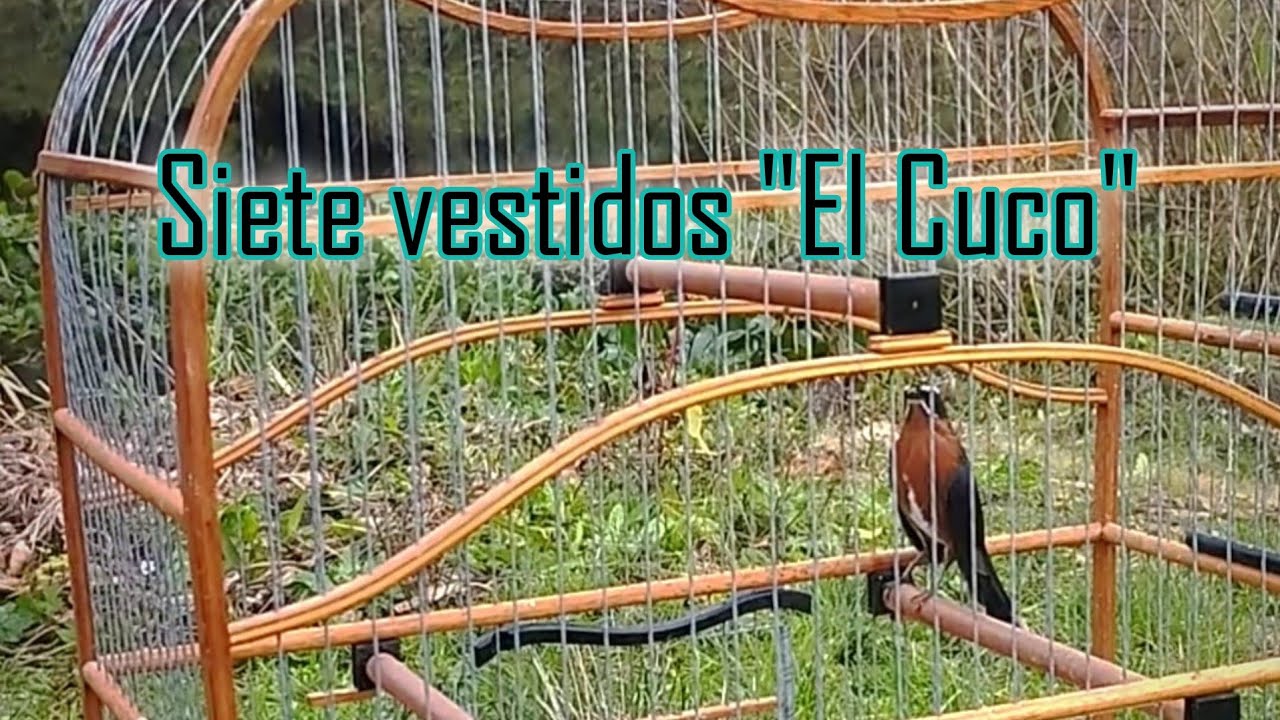 Siete vestidos 