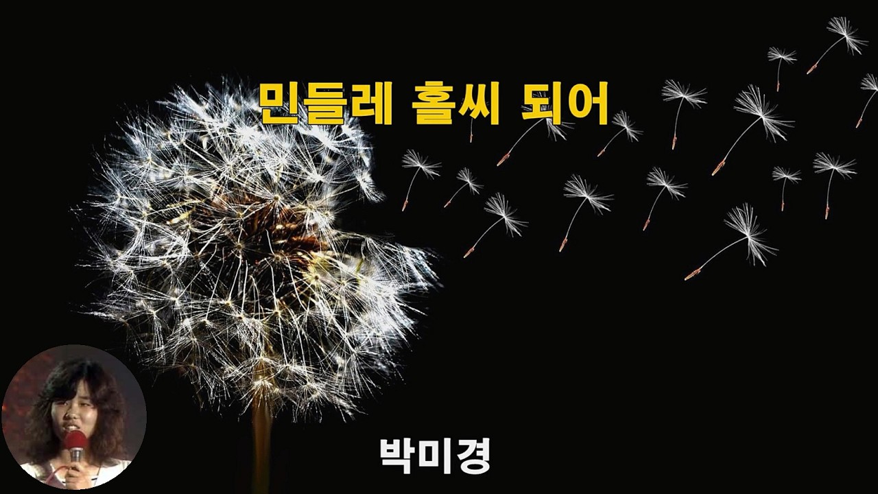 민들레 홀씨 되어 - 박미경 (1985) 가사lyrics