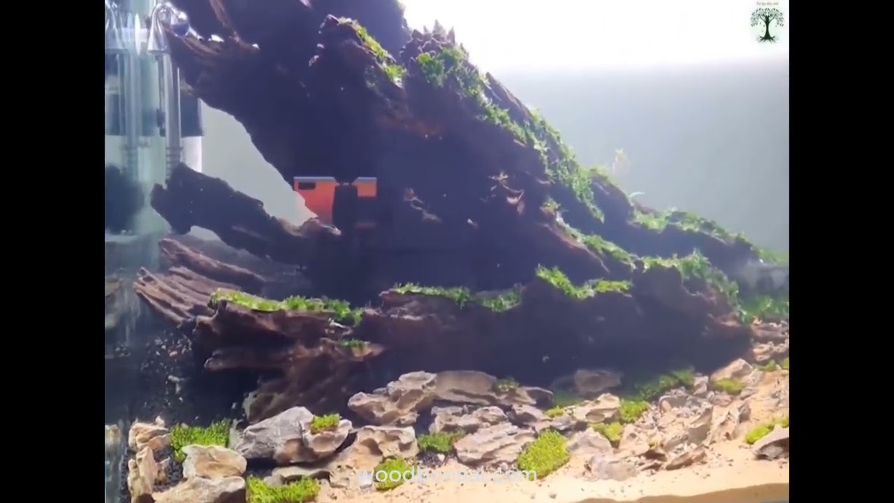 Aquascape driftwood aquarium cave hardscape drift wood fish tank decor