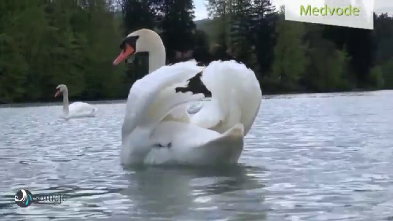 Občina Medvode, turistični predstavitveni film