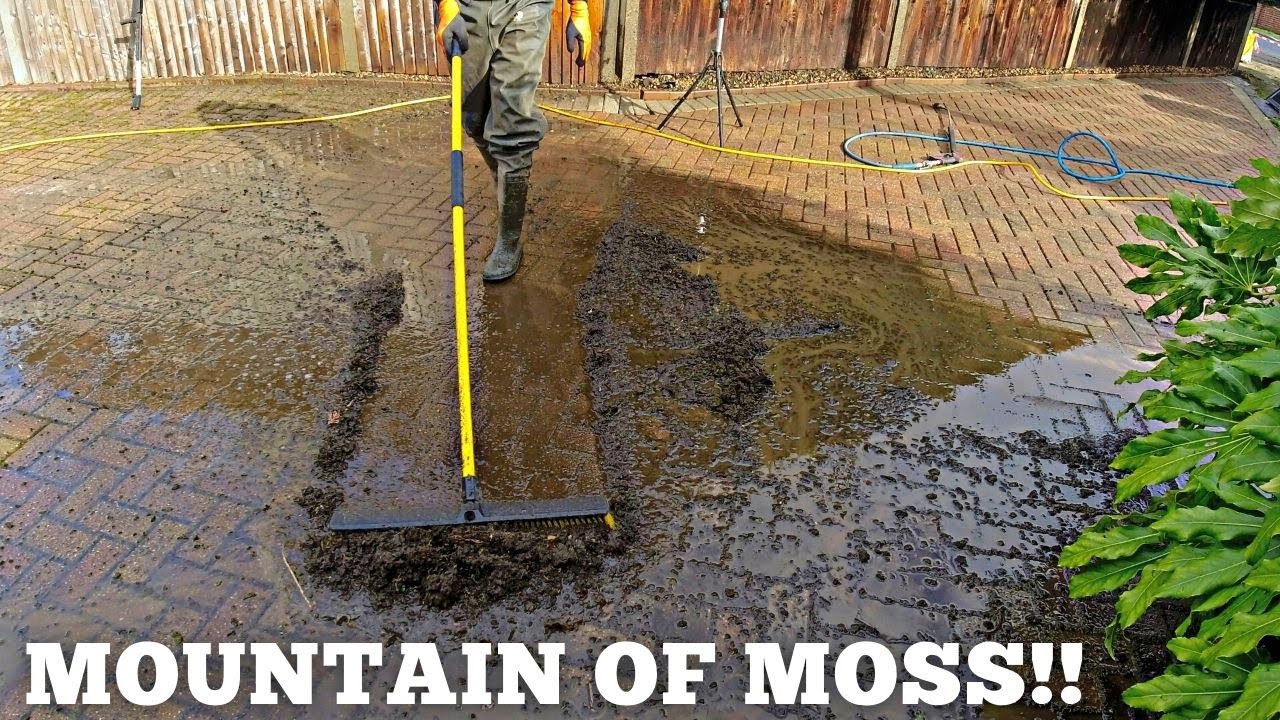 JOINTS OVERFLOWING WITH MOSS! A MONSTER DRIVEWAY CLEAN!