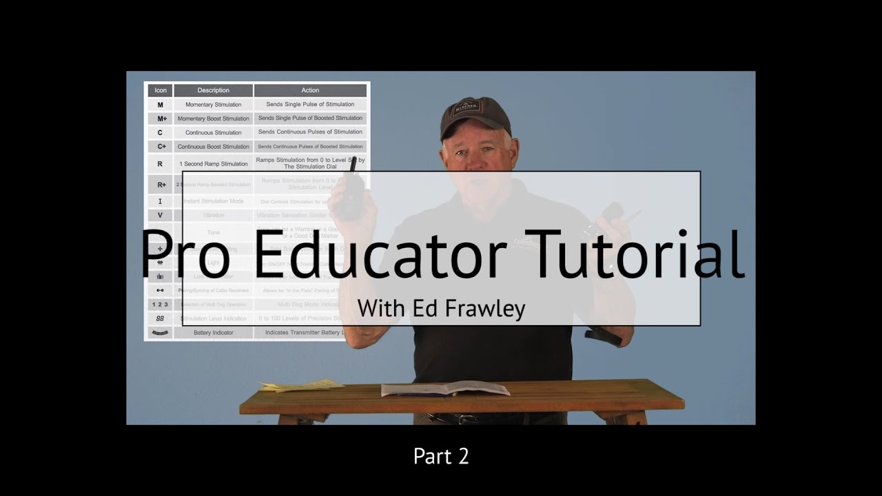 Часть 2. Учебное пособие — ошейник с дистанционным управлением Educator Pro900 — программирование...