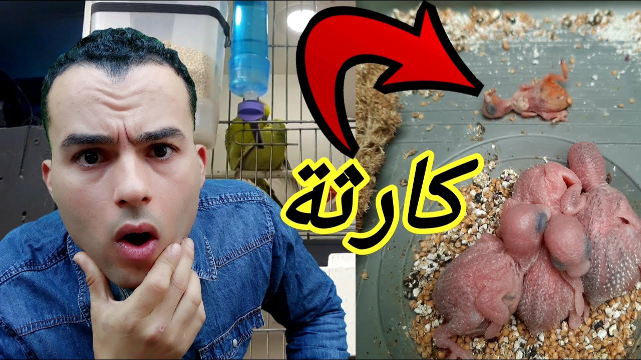 نتوى سمحت في ولادها صغار بجوع من أجل رغبات الدكر😬شفو كيفاش نقدت الوضع في آخر لحضة💥