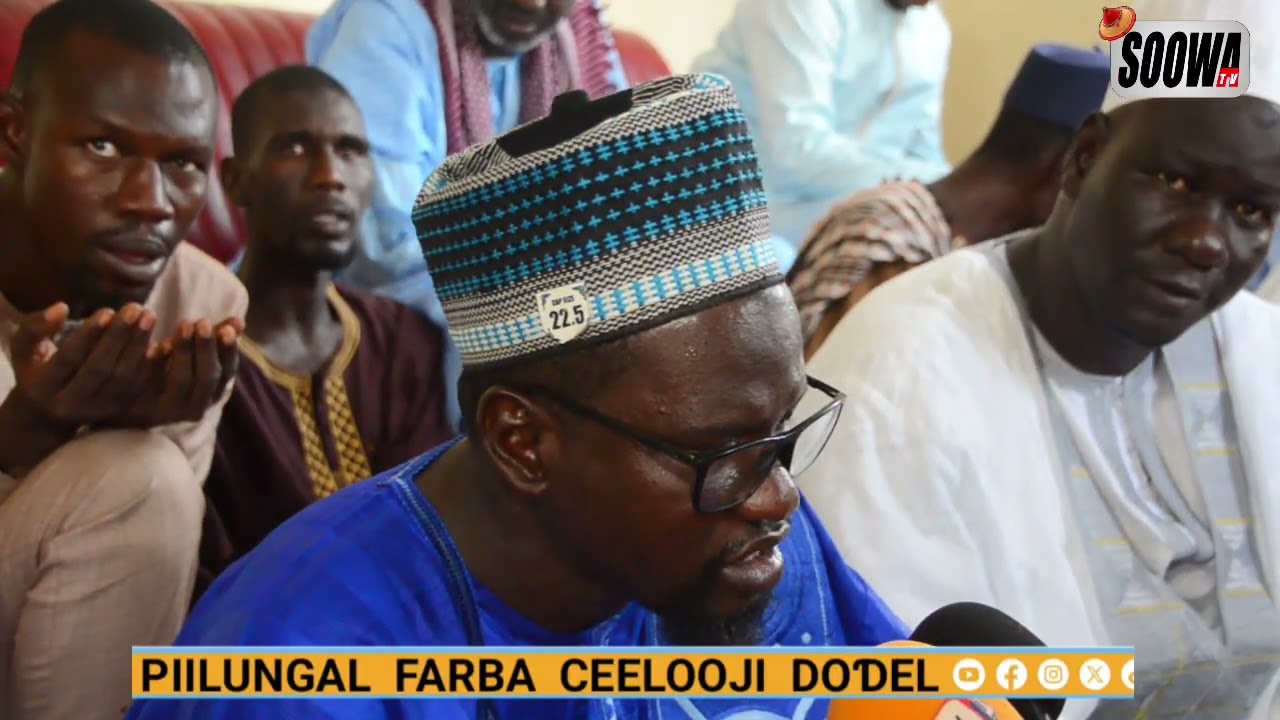 PIILUNGAL FARBA CEELOOJI A DOƊEL