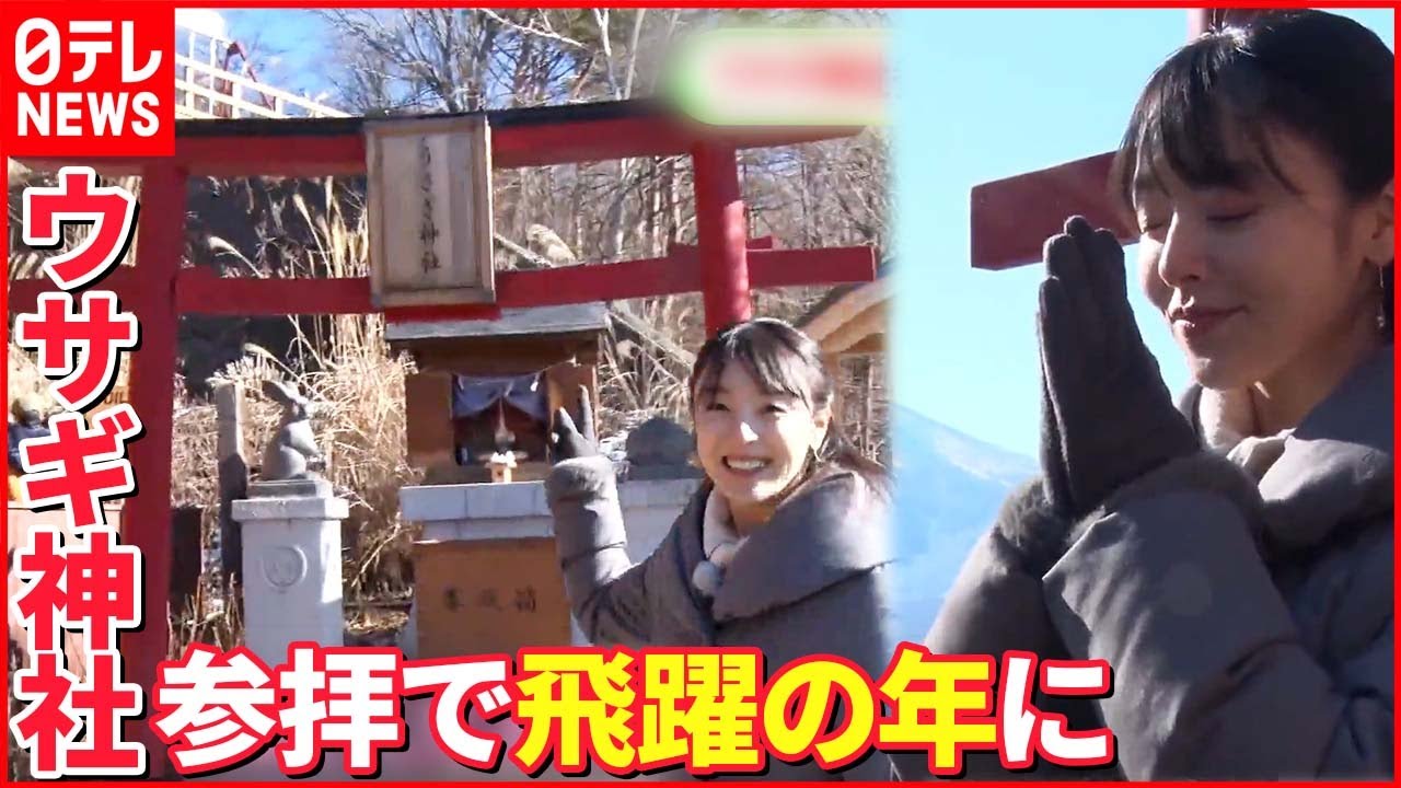 【神社特集】ウサギをまつる神社  狛犬の変わりにコマウサギ？米澤かおりキャスターが取材