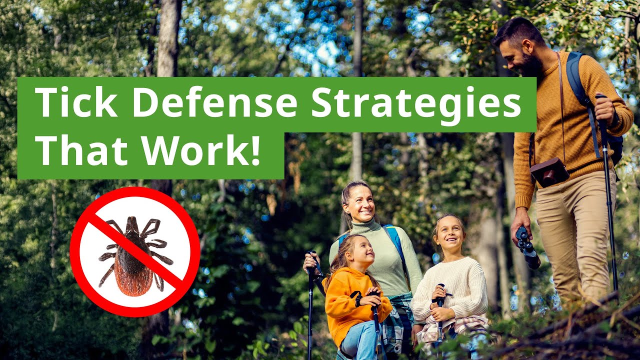 Stay Tick-Free: Proven Strategies to Prevent Tick Bites