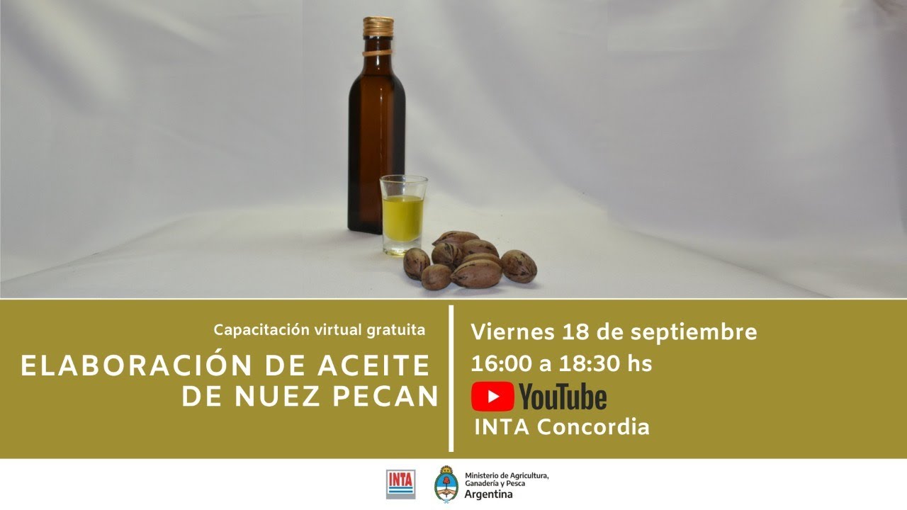 Elaboración de aceite de nuez pecan