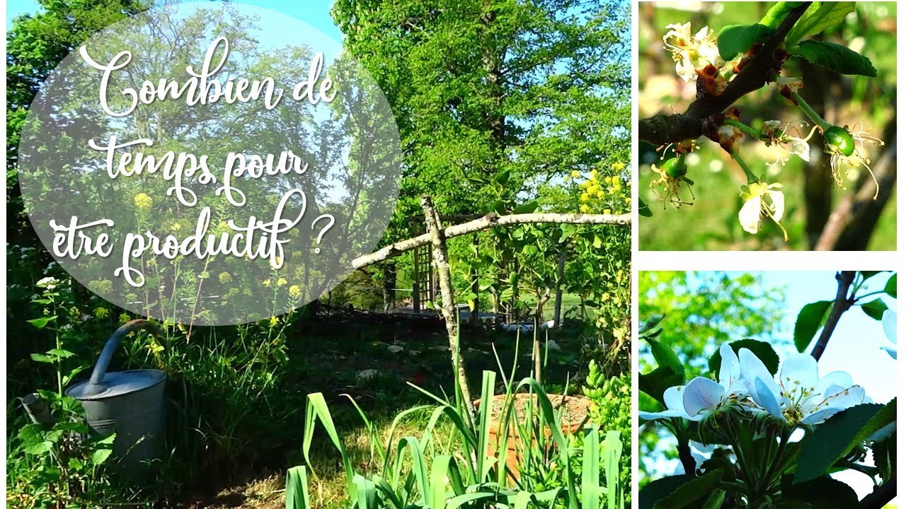Combien de temps pour être productif au jardin ?