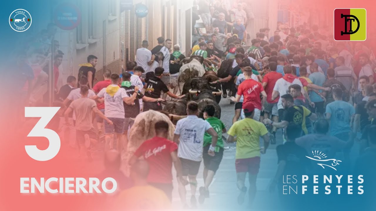 TERCER ENCIERRO de Les Penyes En Festes de Vall d'uixo 2025 | Toros de El Gallo