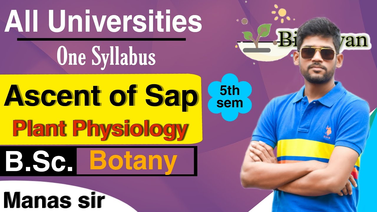 Ascent of sap || B.Sc Botany, Bio gyan