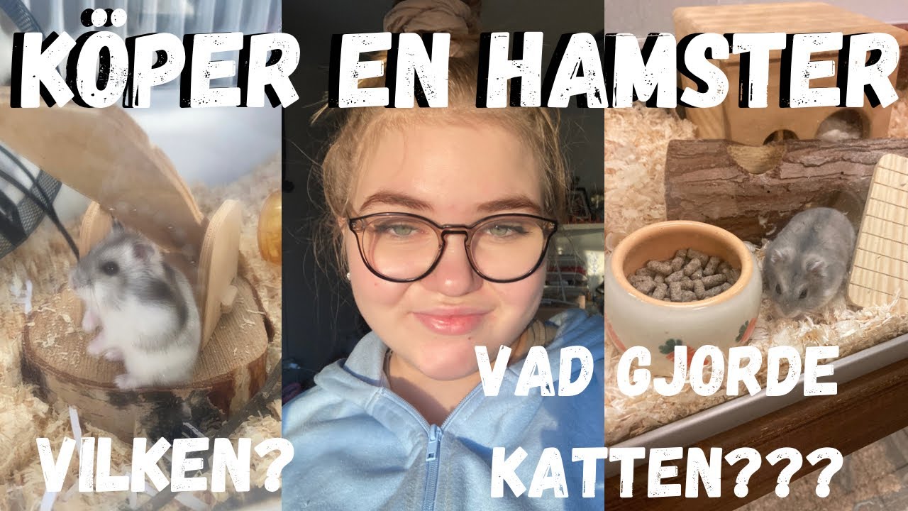 VLOGG ~ K&ouml;per en hamster!!😍🐹❤️