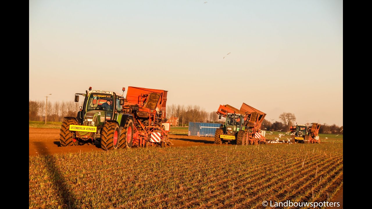 3 x Fendt schorseneren rooien 2014 - Destoop uit Waregem