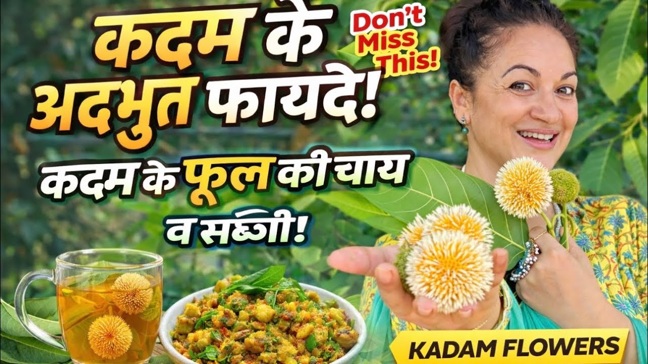 Kadam Flower | Learn How to Make Sabzi & Its Benefits from Uttarakhand Kashipur kunda 