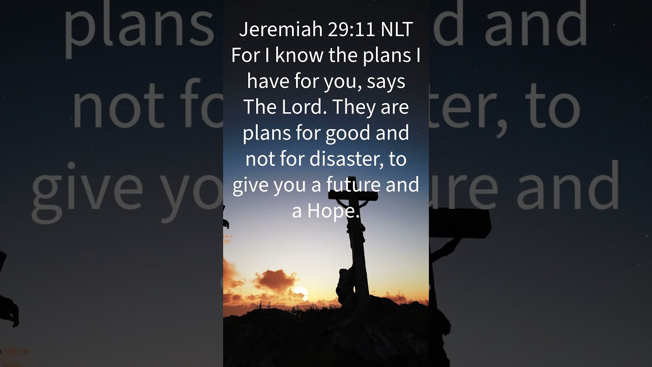 Never Lose Hope! 