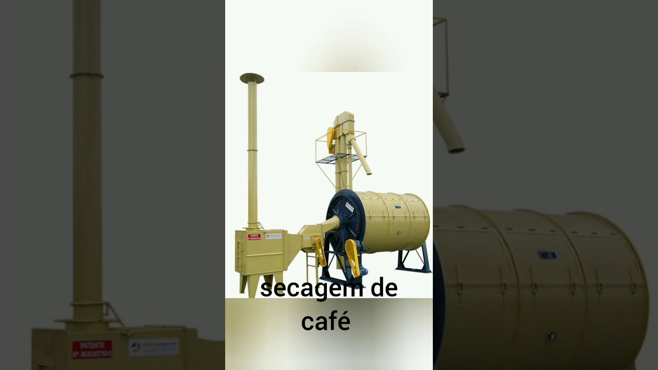 café ☕ 1° vídeo secagem de café ,