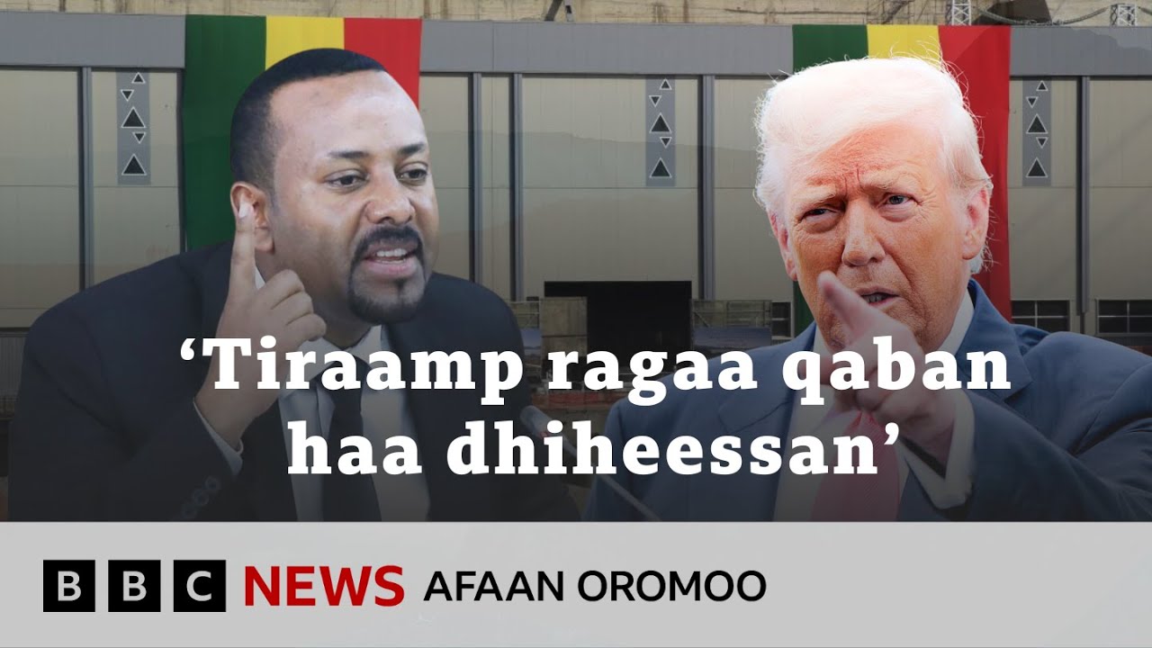 Действительно ли плотина на Ниле была построена на деньги США? | BBC News - 1 сентября 2014 г.