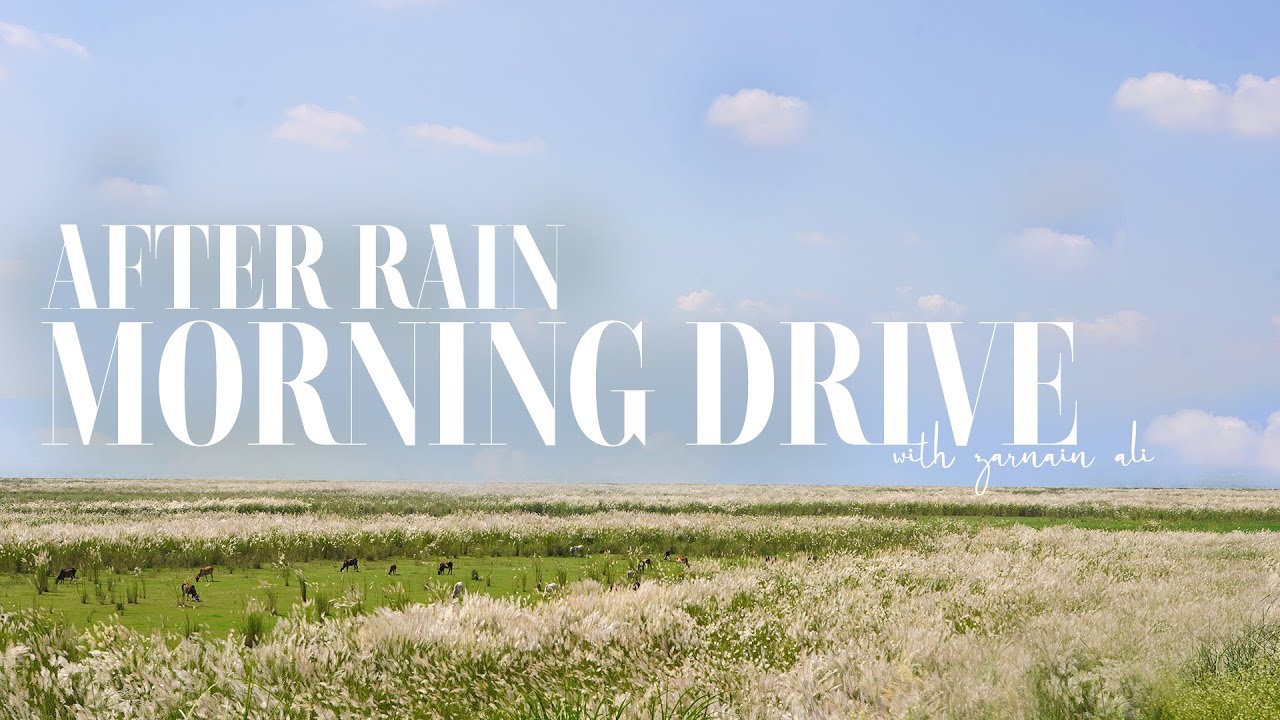 A Beautiful Morning After Rain | Coffee, Flowers & Road Travel Vlog