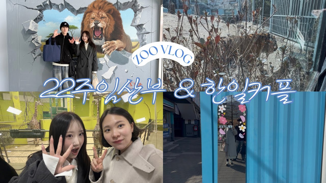 22주 임산부 일상 VLOG | 한일커플과 동물원 나들이 🐯|래서판다 접선!