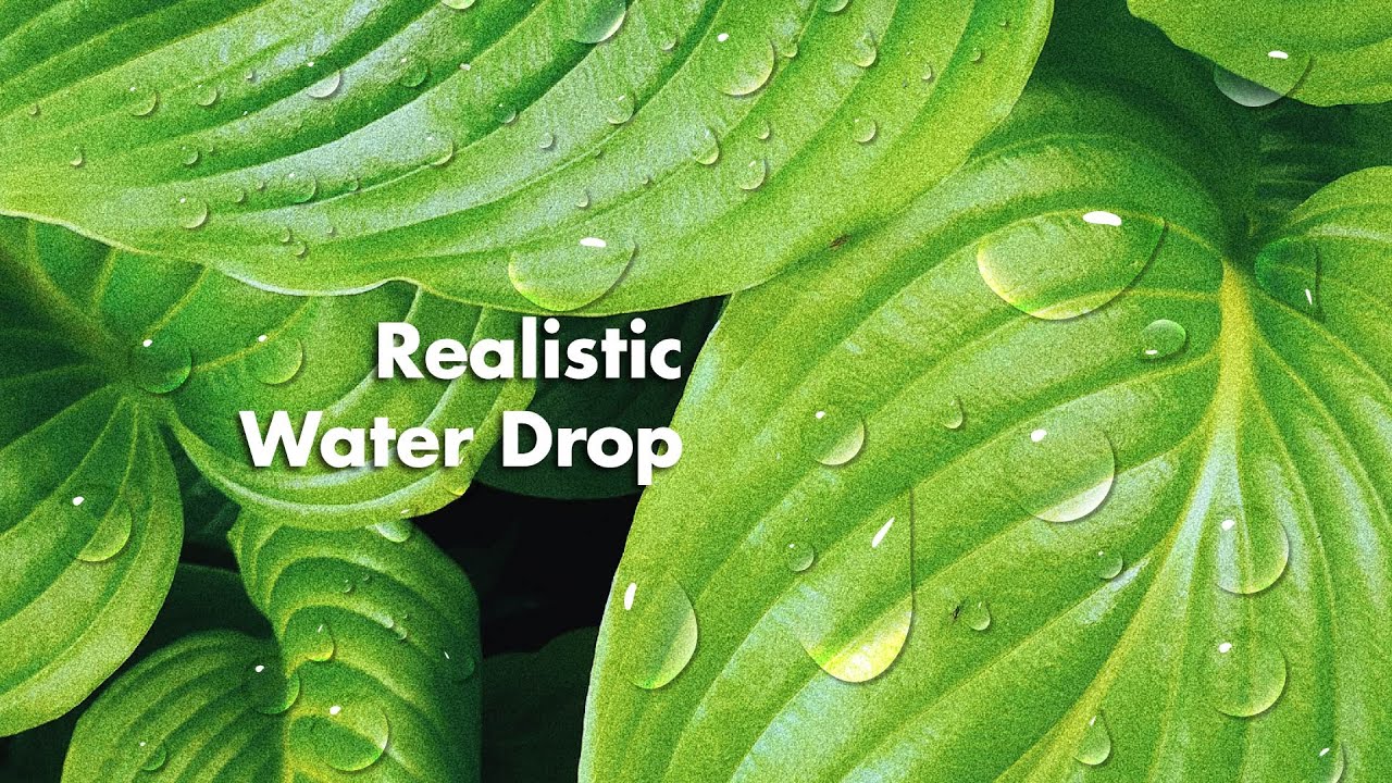 How To Create Water Drop in Illustrator | Realistic  vector illustration