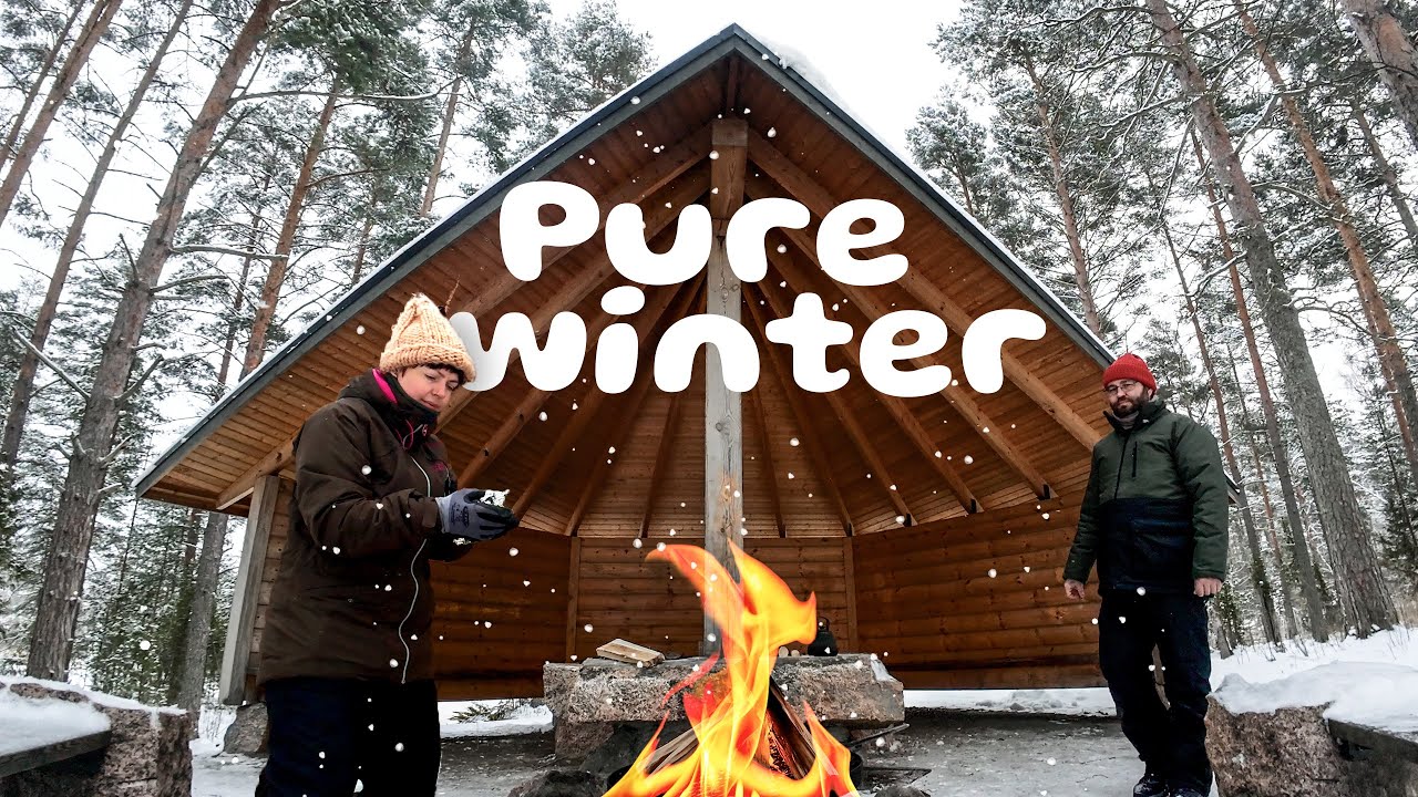 Silent Vlog in Nature: Winter in Finland (-20°C) | Nature ASMR