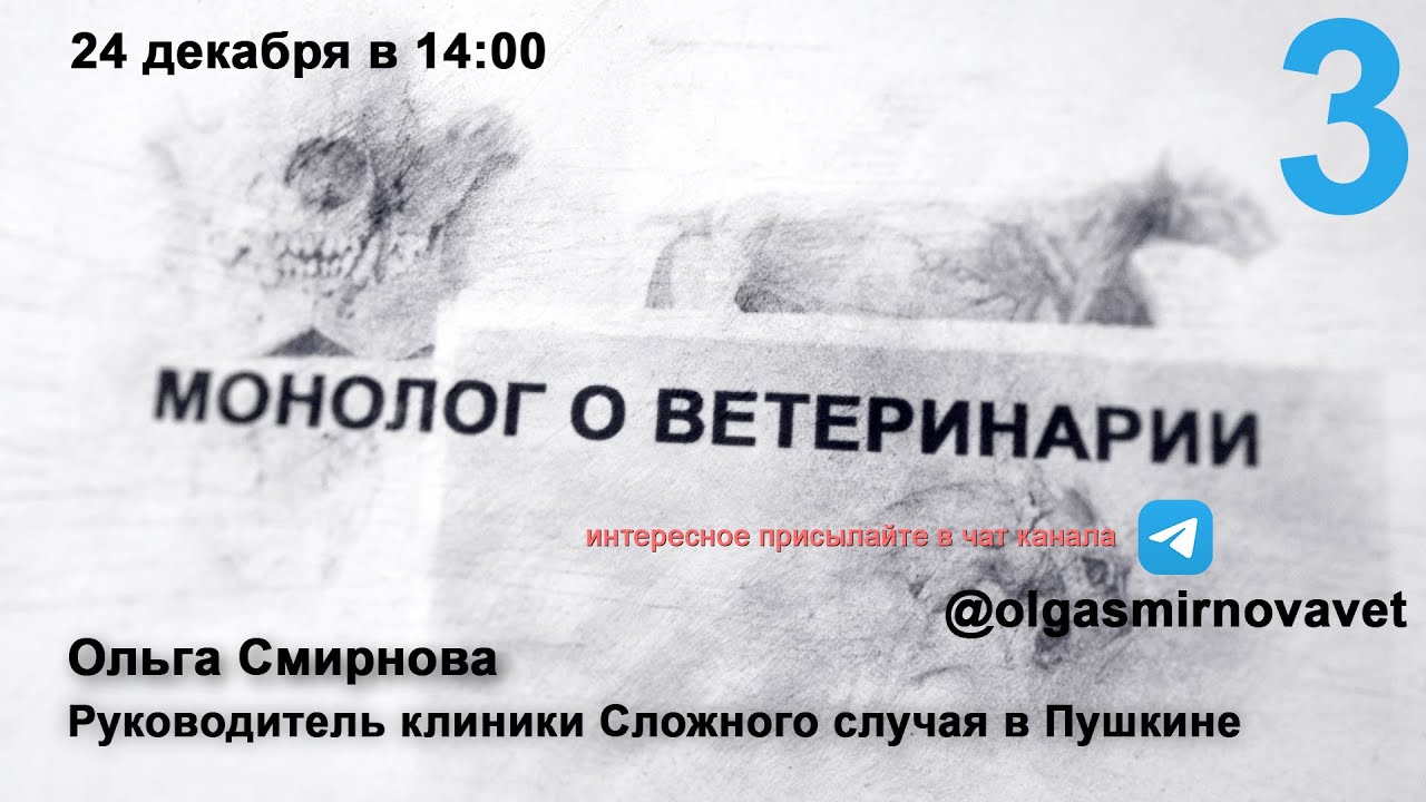Монолог о ветеринарии #3