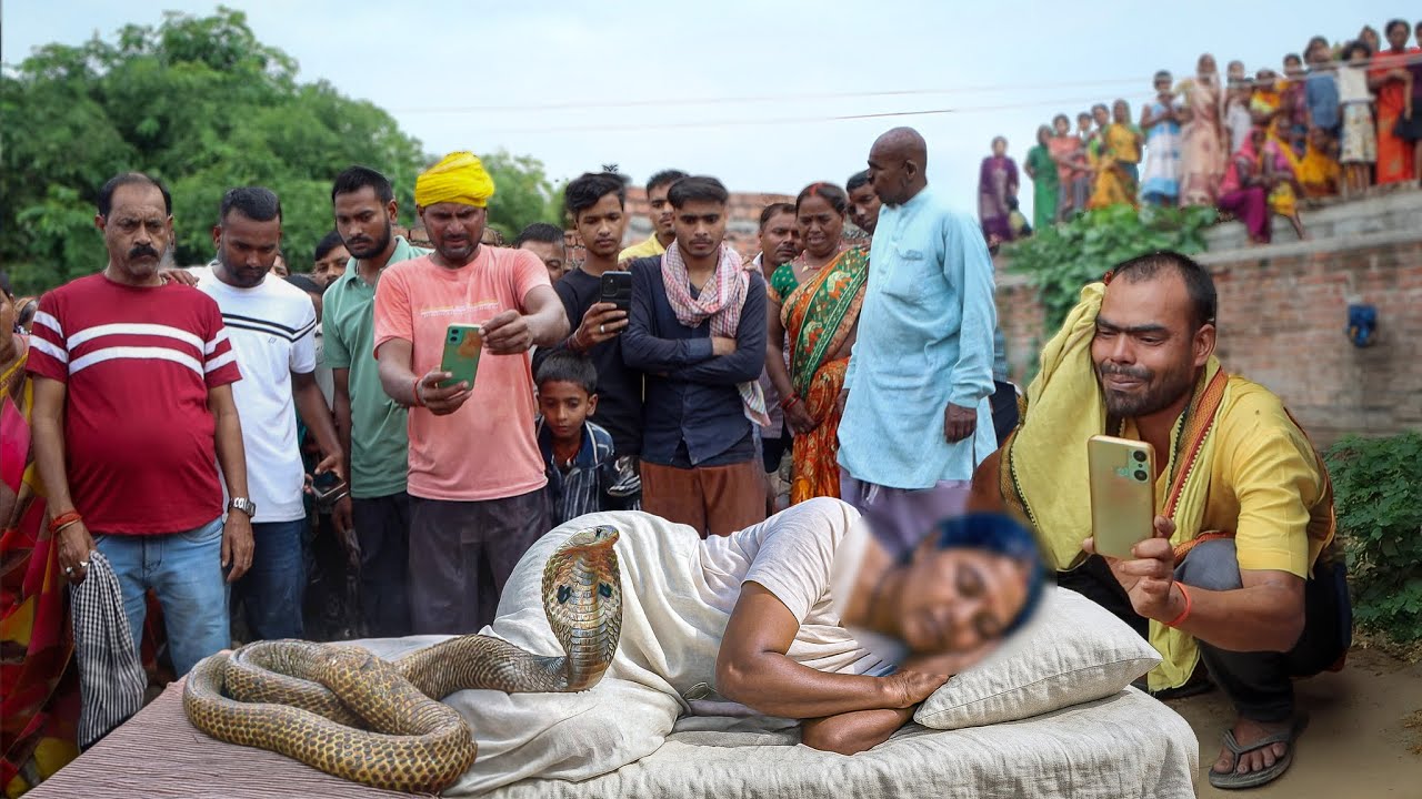 एक और महिला की मौत- जहरीला साँप काटने के बाद झाड़-फूक के चक्कर में गई महिला की जान! Snake bite video