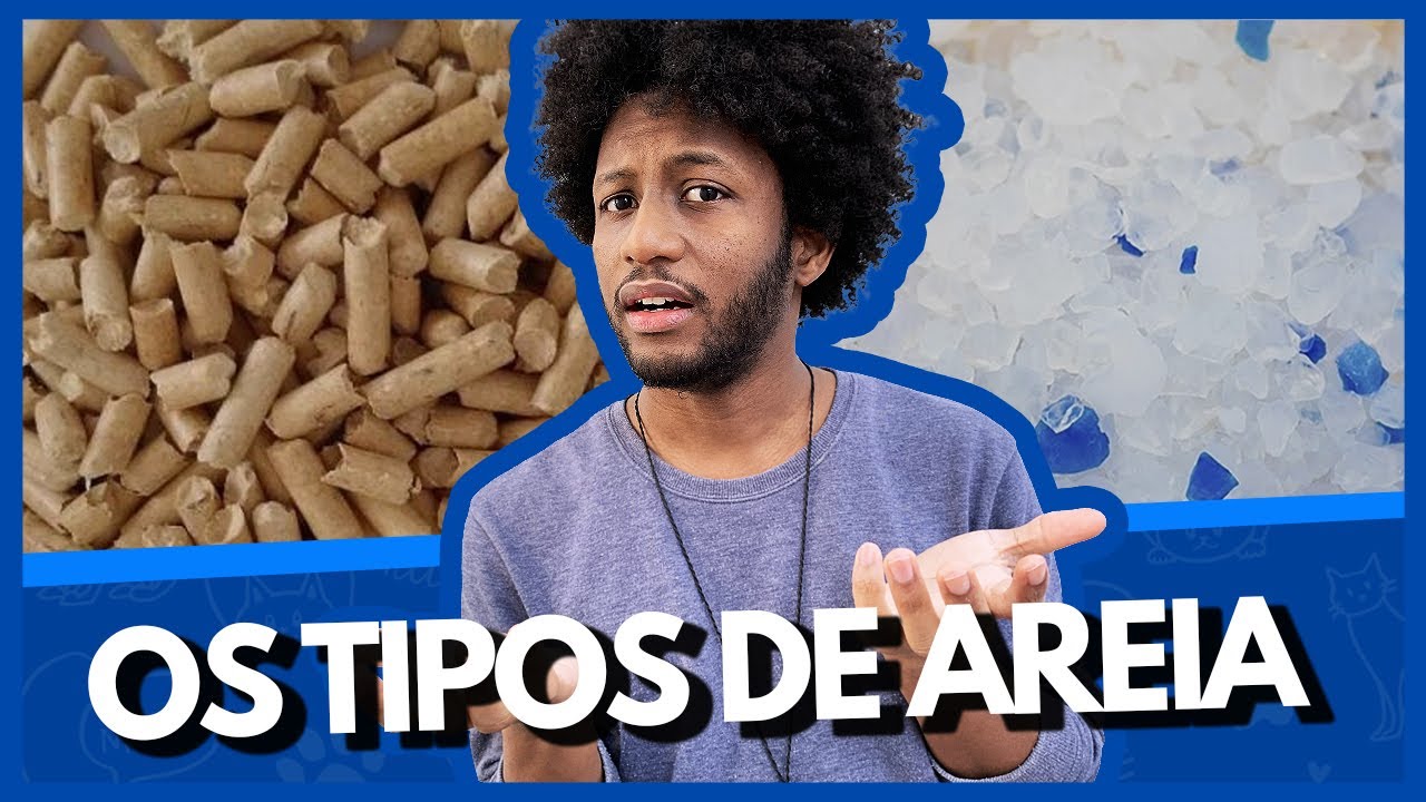 PRINCIPAIS TIPOS DE AREIA PARA GATO - CARACTERÍSTICAS (PARTE 1)