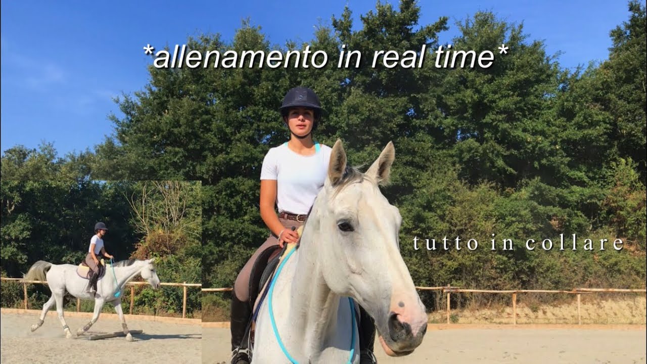 un intero allenamento in collare; spiegazioni ed esercizi 🌷🐴|| Flaminia Bologna