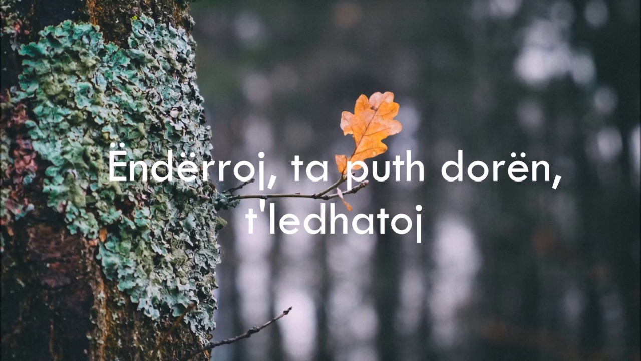 Shpat Deda - &Euml;nd&euml;rroj (Lyric Video)
