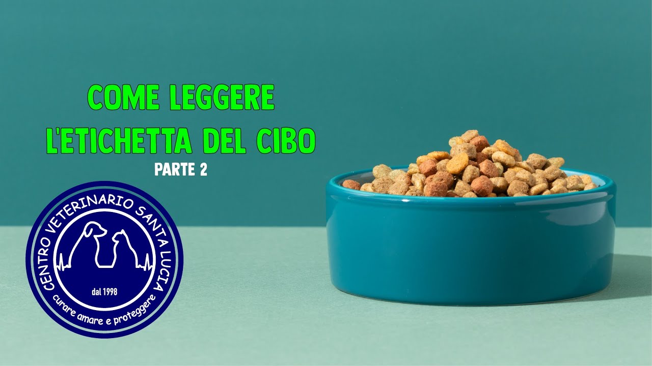 124B - COME NON FARTI INGANNARE DALL’INDUSTRIA DEL CIBO DEI CANI E GATTI - parte 2