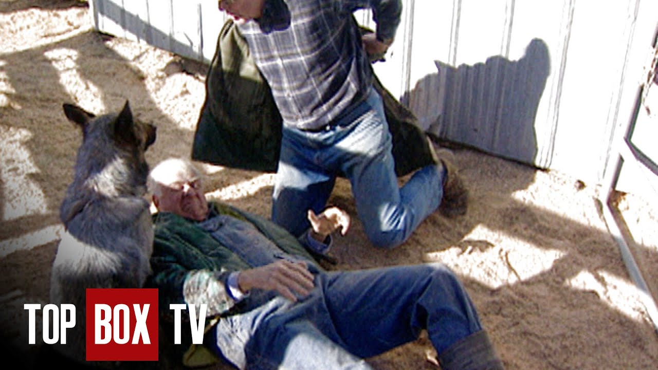 Cattle Dog Saves Farmer From Stampede - Animal Miracles 111 - Tuff Stops the Stampede