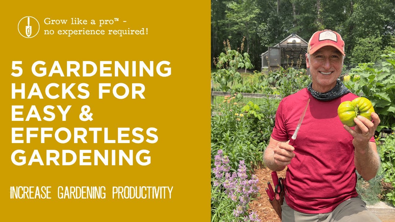 My Five Favorite Gardening Hacks to Increase Productivity in the Garden