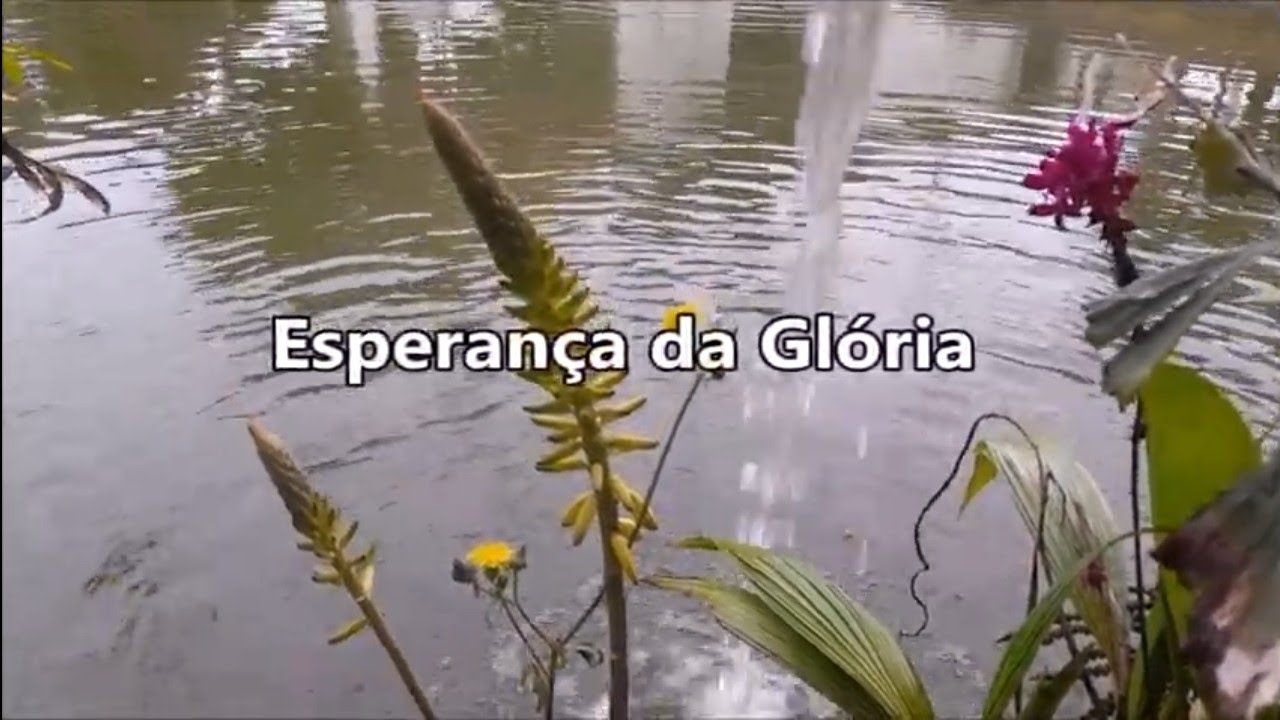 ESPERANÇA DA GLÓRIA Grupo Shalom Cantado e legendado