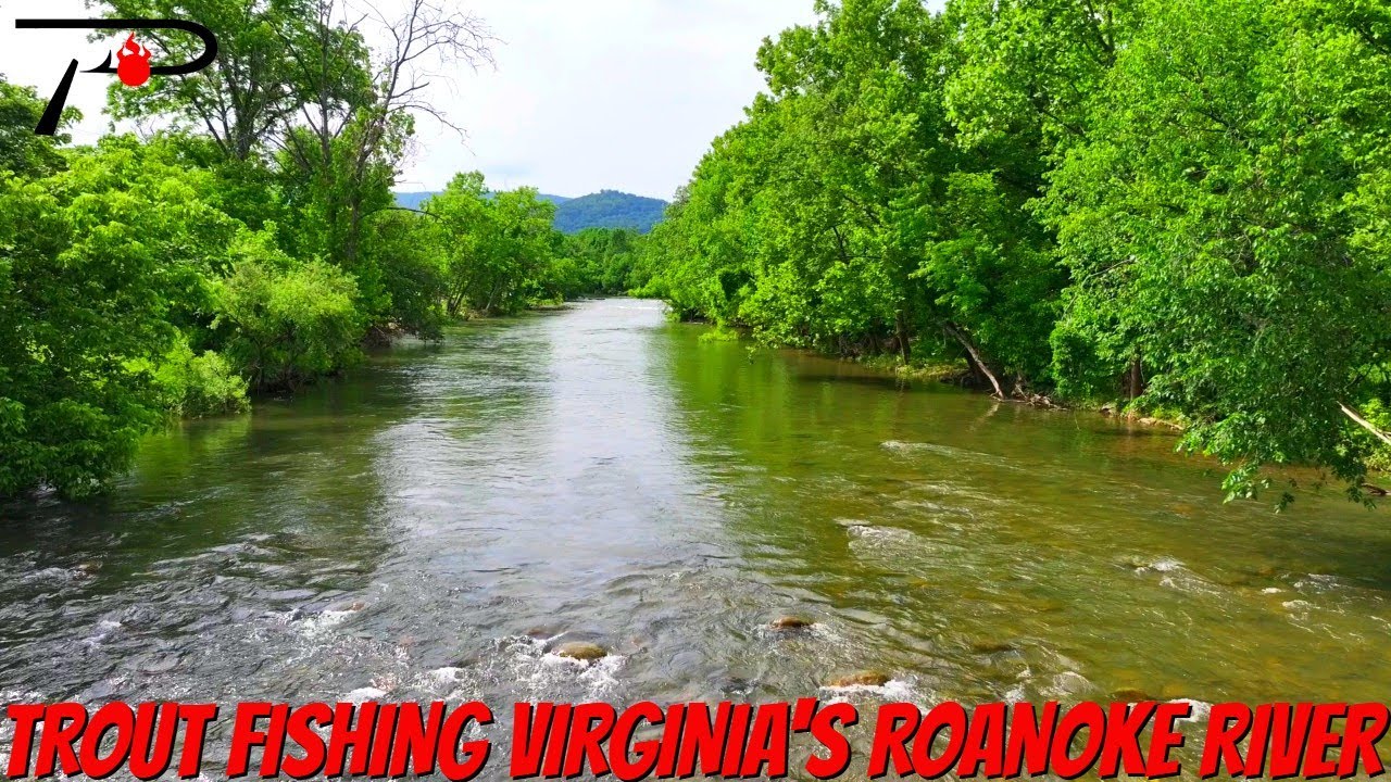 Roanoke River Trout Fishing
