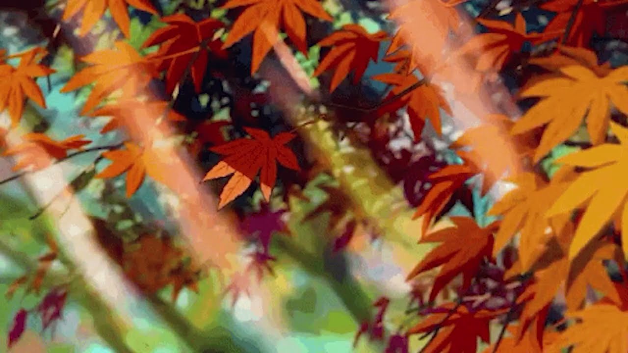 Bon Iver - Minnesota, WI (slowed)