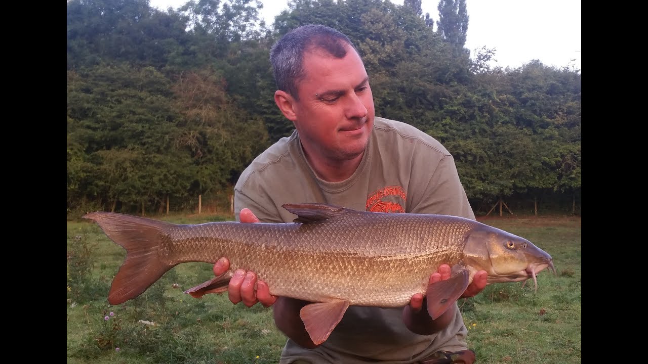 Ep124 -  Barbel Fishing On The River Severn