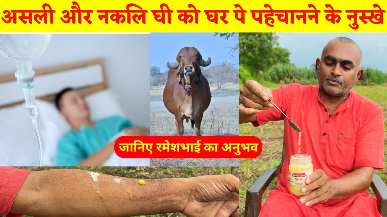 असली और नकलि घी पहेचानने के घरेलू नुस्खे| Gir Gau Jatan | Rameshbhai Rupareliya
