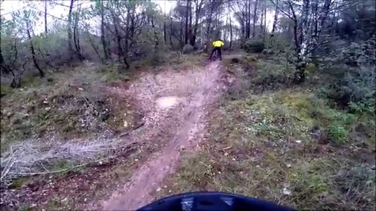 Pinheiro Manso ver.1