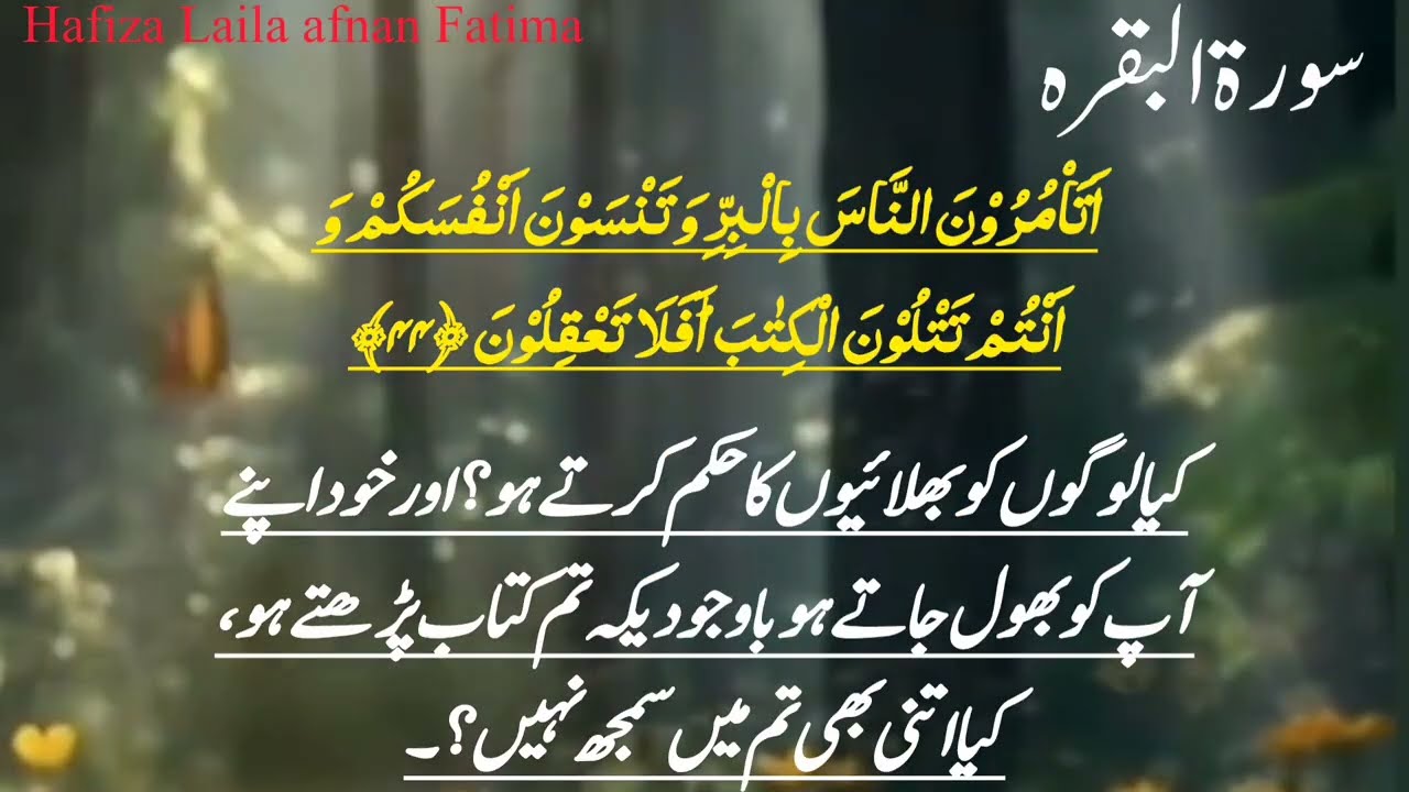 سورۃ البقرہ مکمل | Surah 2 Al-Baqarah Full Arabic Tilawat with Urdu English TranslationRelaxation vi