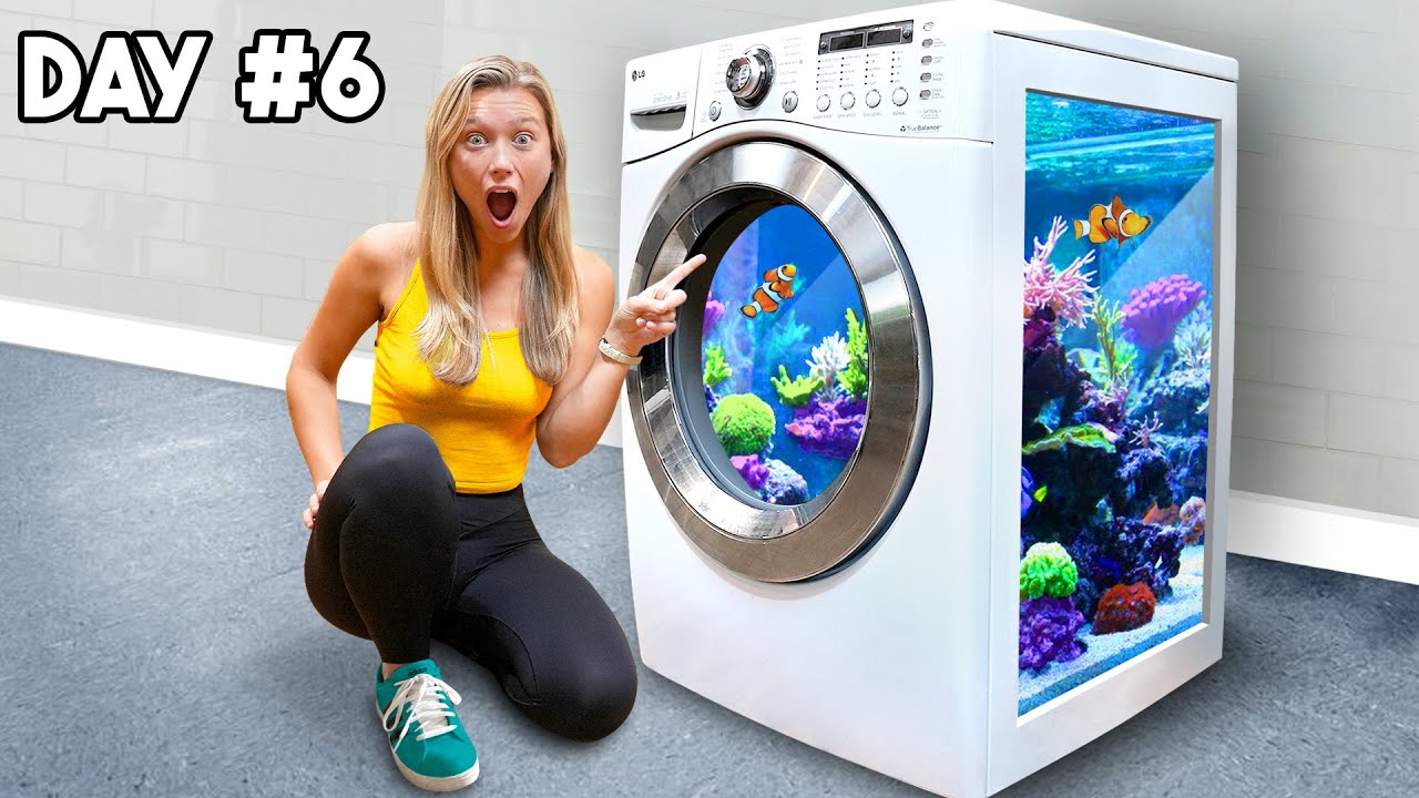 I Transformed My Washing Machine into a Fish Tank