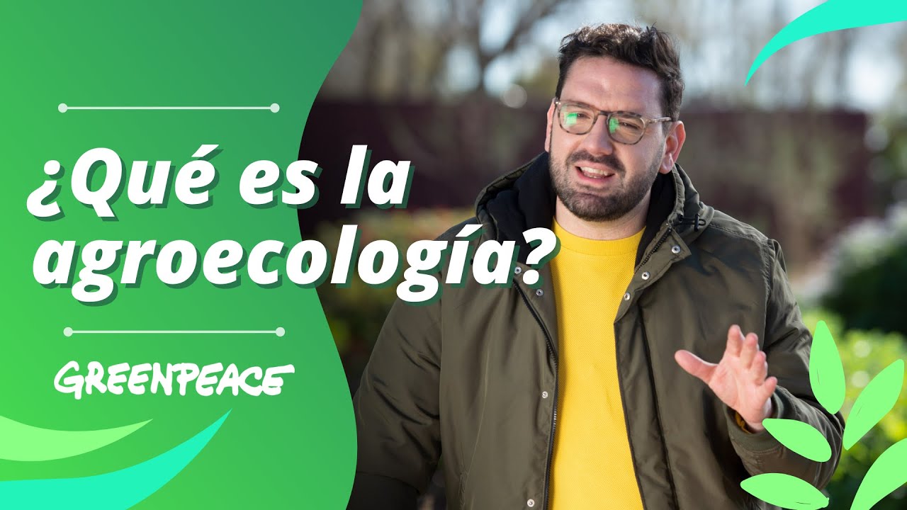&iquest;Qu&eacute; es la agroecolog&iacute;a? - Greenpeace Argentina
