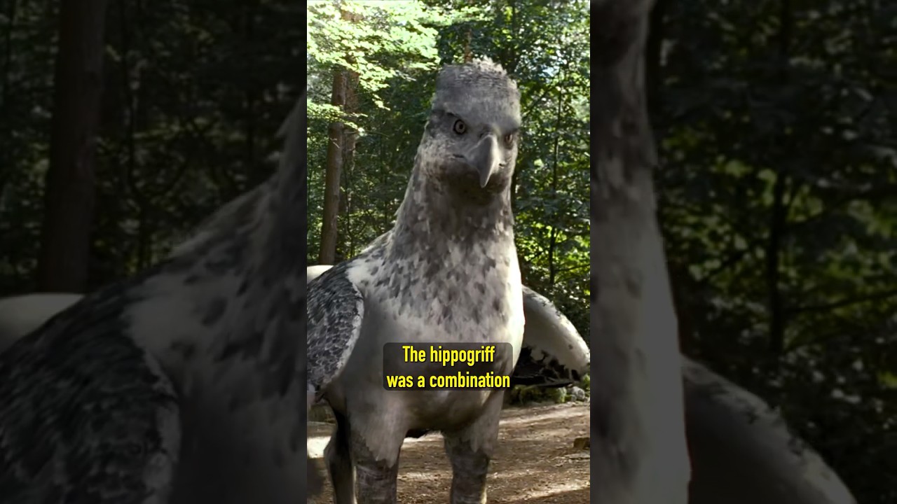 Buckbeak&rsquo;s Secret: He Wasn&rsquo;t Just CGI! 🦅