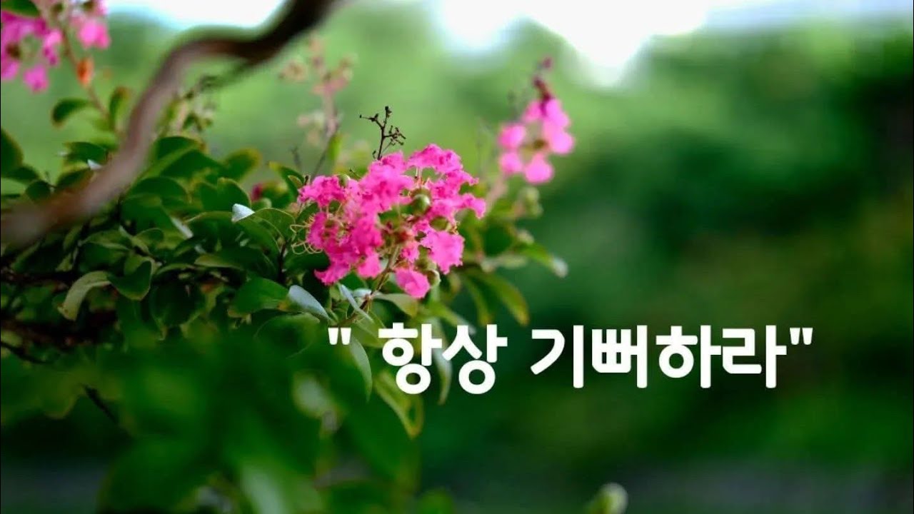 이찬양복음TV  찬양과성령불기도회💕