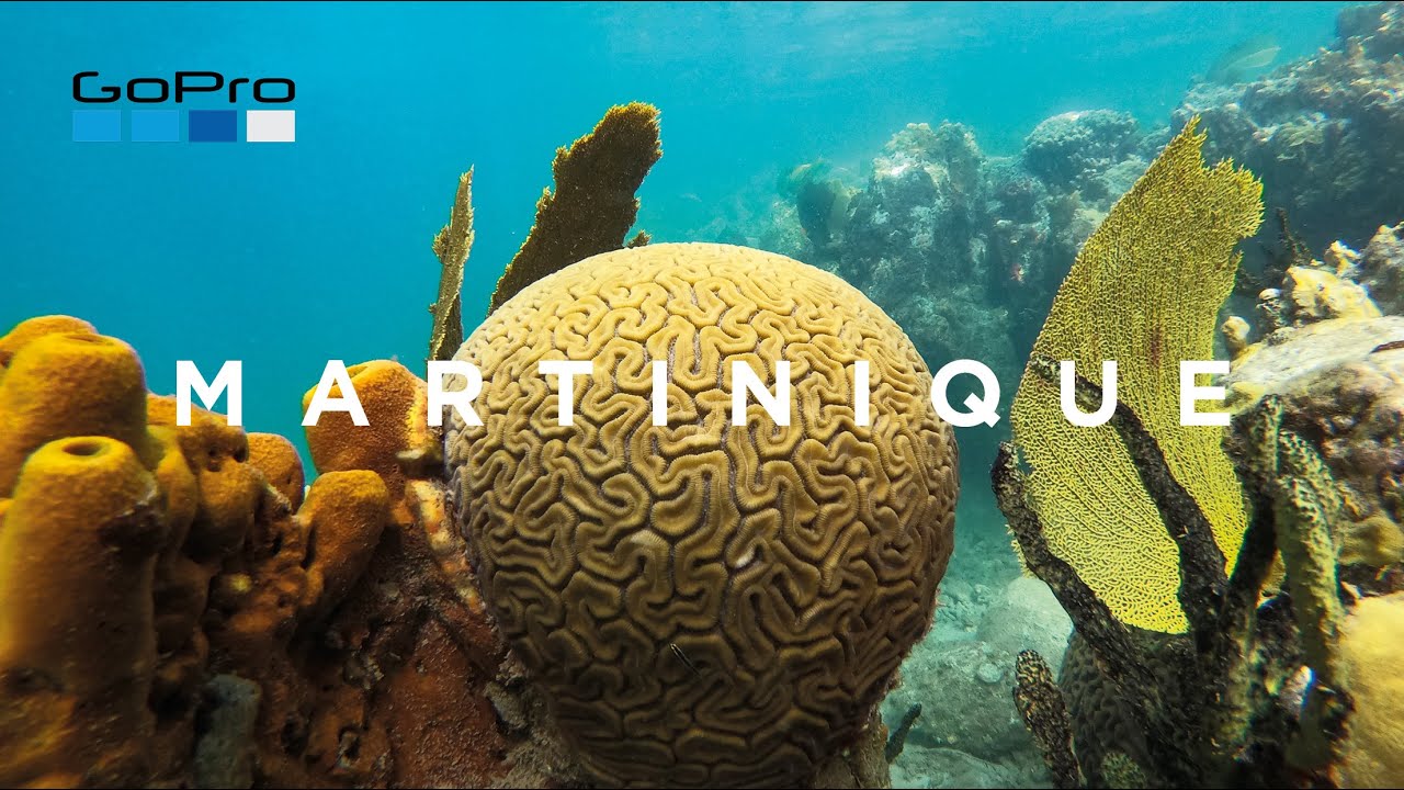 GoPro: Martinique underwater paradise, snorkeling.