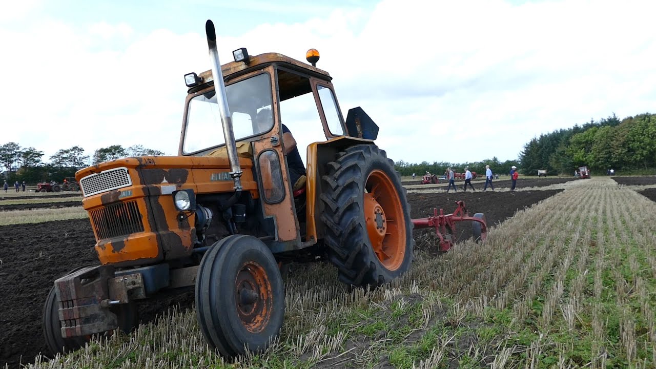 Fiat 600 | Ploughing With 3-Furrow Plough | St. Pløjedag - Poulstrup 2016