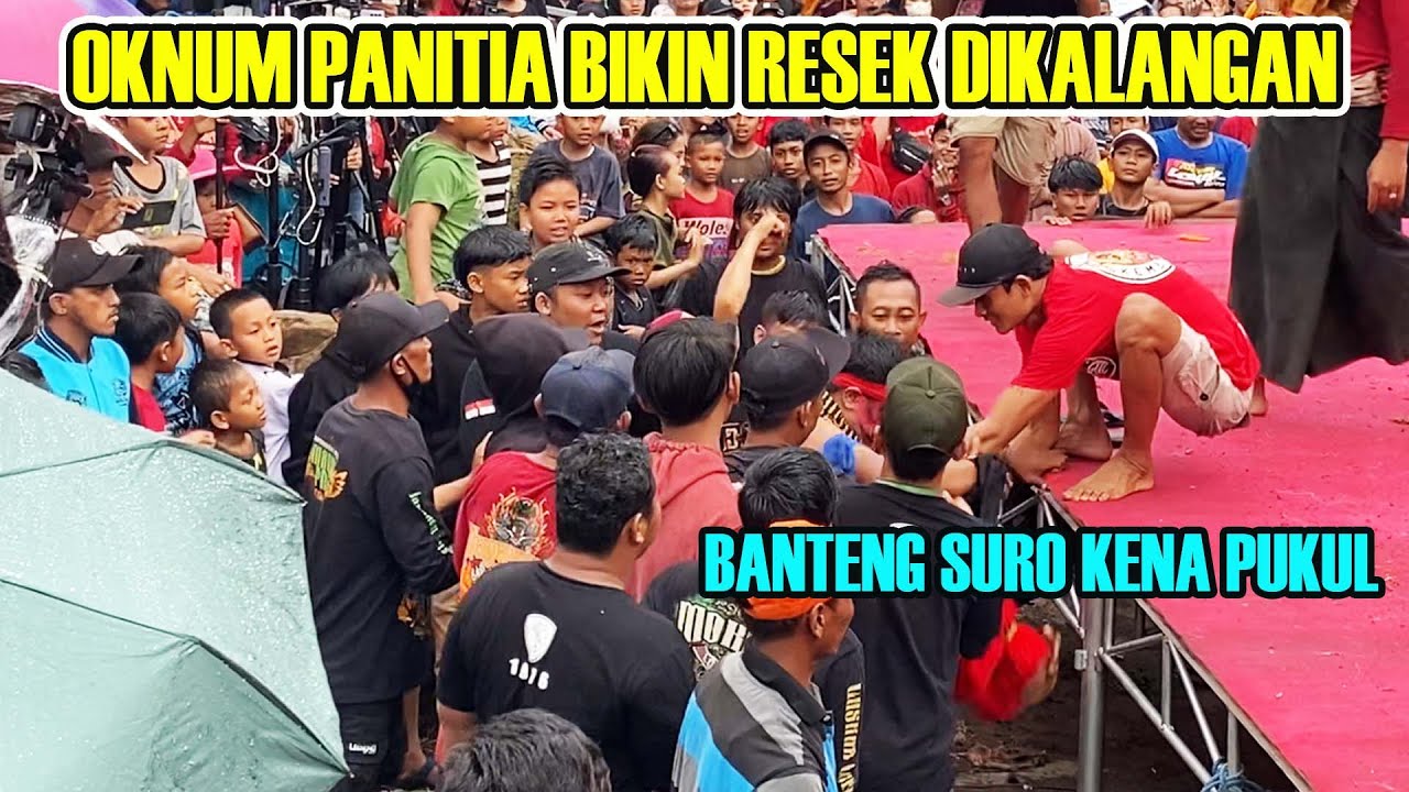 Panitia Buat Onar ‼️Mukul Banteng Suro || Mayangkoro Original