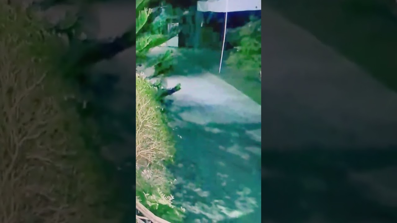 mag ingat sa mga kawatan ngayon 😢